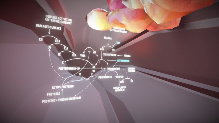 RBC Clotting Factors 3D Model