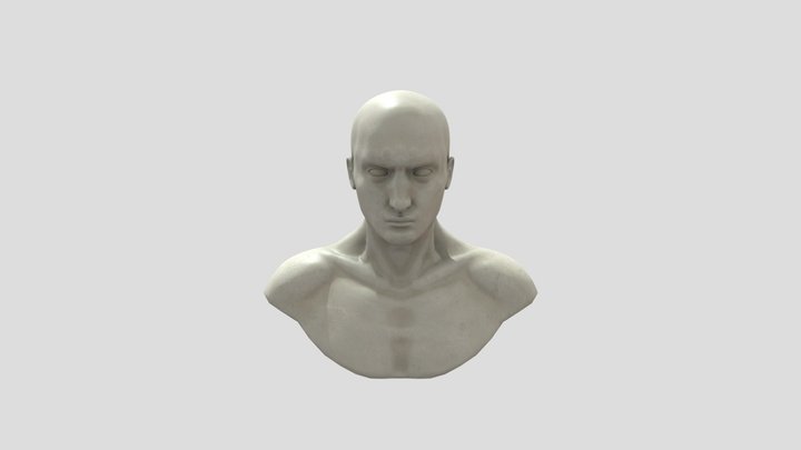 David Head Sculpt 3D Model