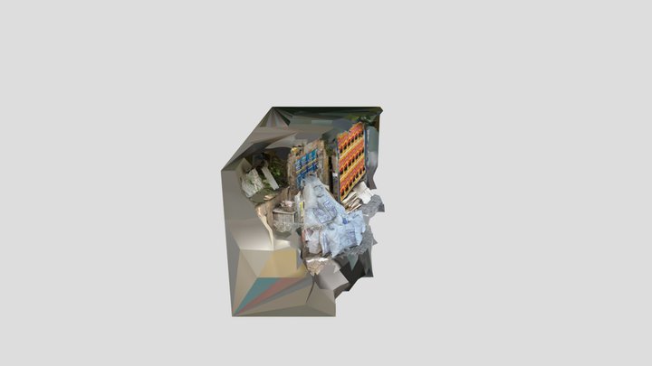 Scan 2023-04-23T11:47:20.416Z 3D Model
