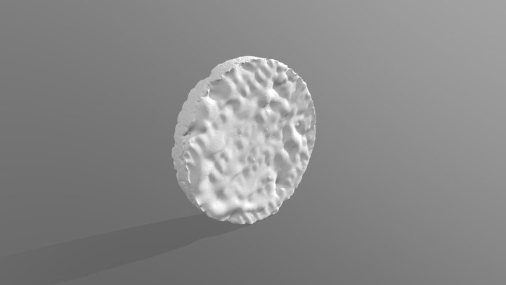 Rice Waffle - Einscan Rigil – Free 3D Model STL