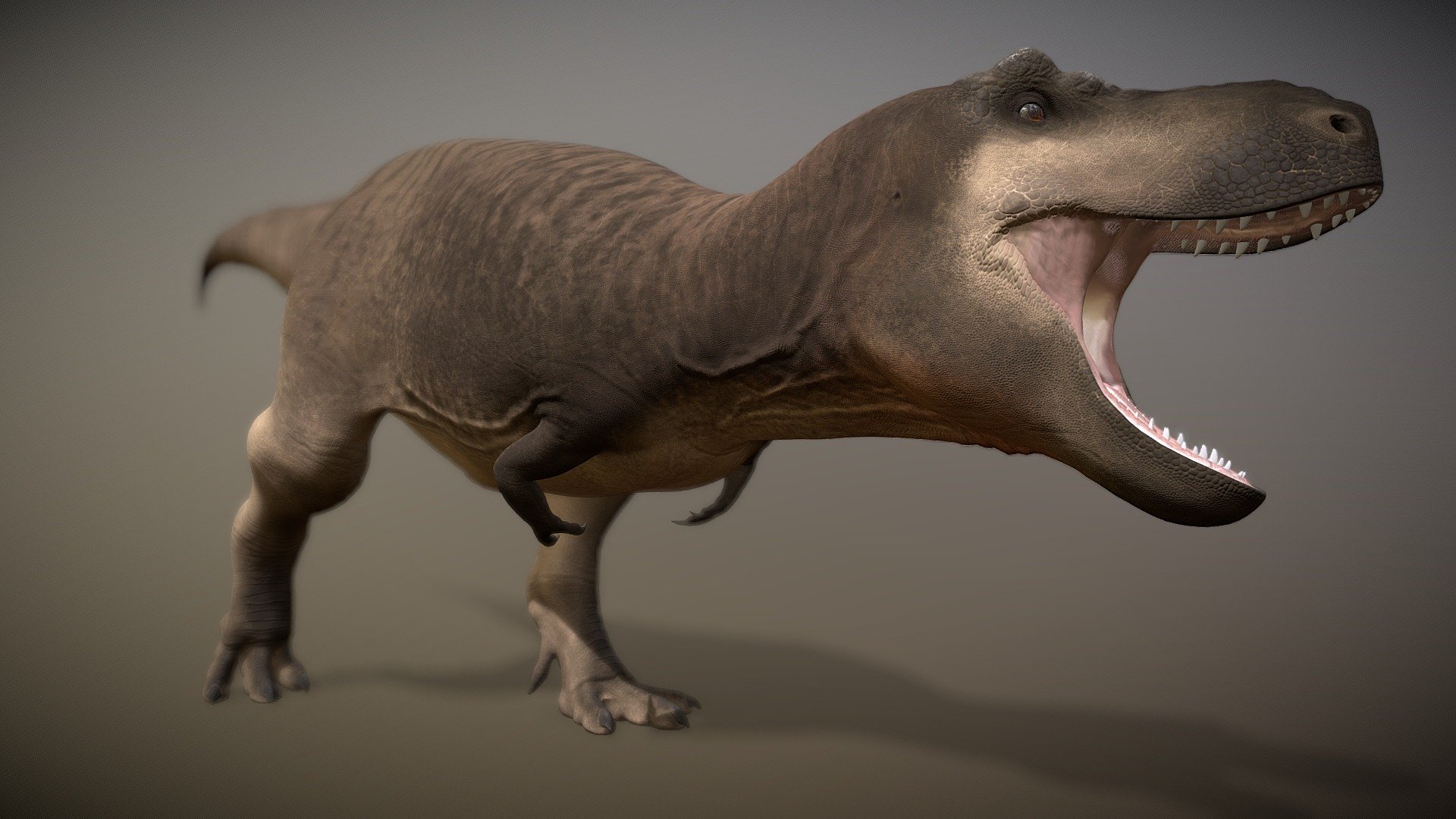 Realistic T Rex Reconstruction