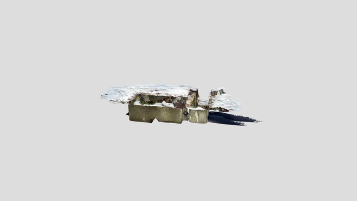 大井取水口 3D Model