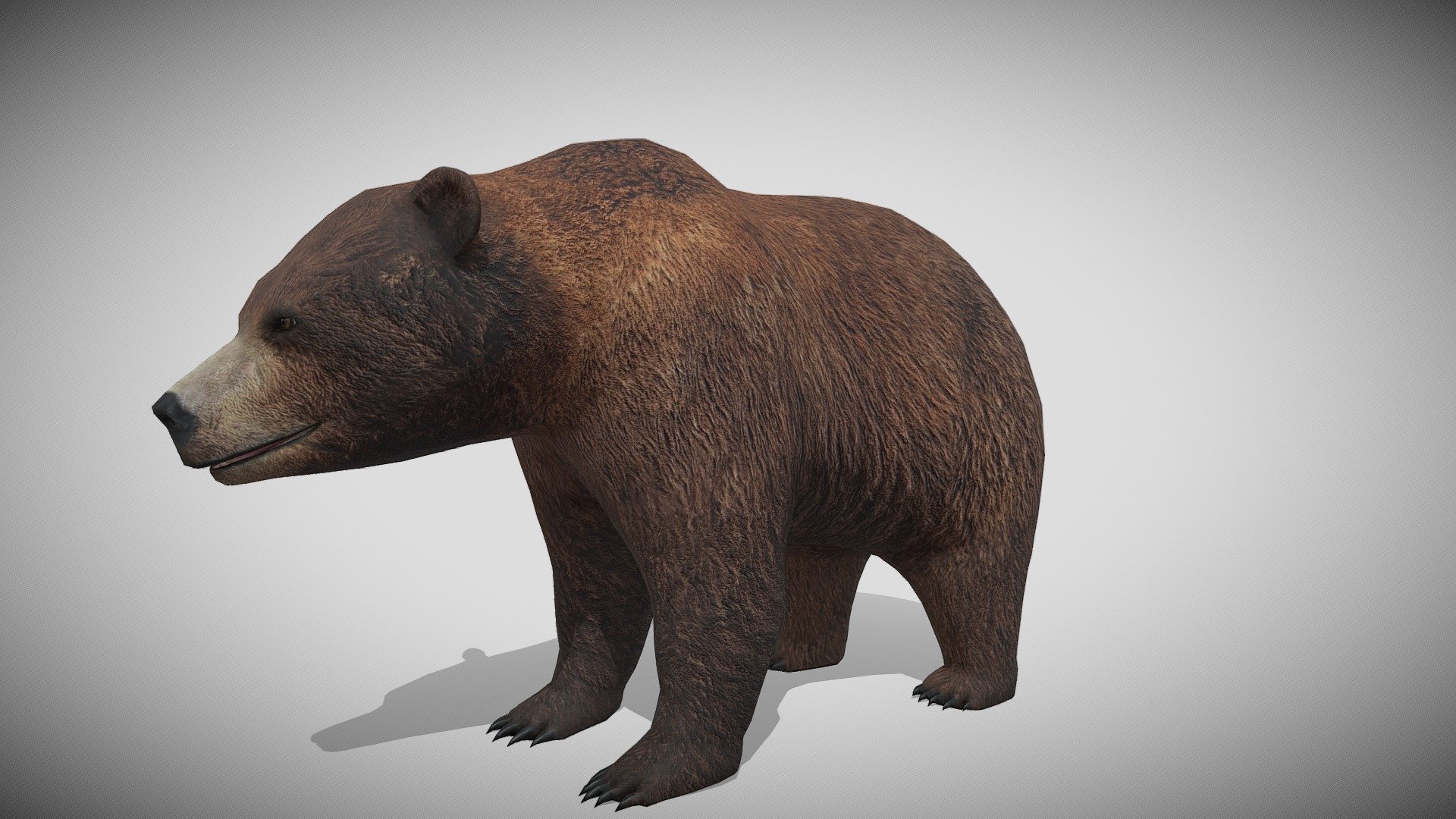 Medhue Brown Bear — Sketchfab embed 3D viewer