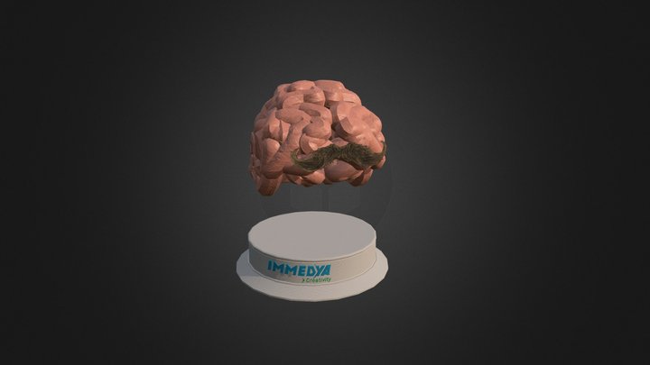 Immedya-Creativity-Cervello 3D Model