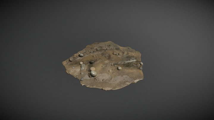 Wet River Edge Terrain