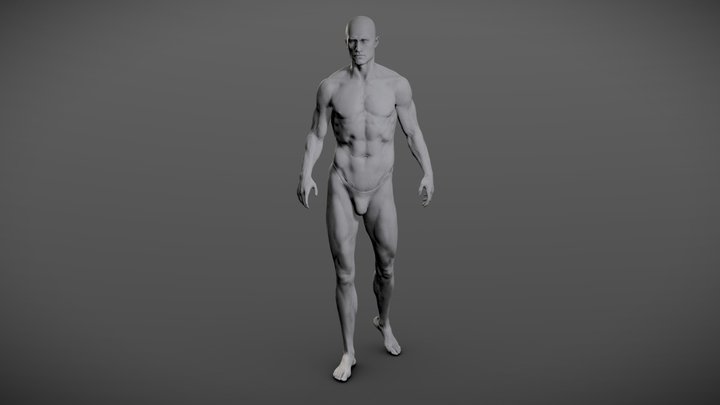Anatomy Study 3D Model