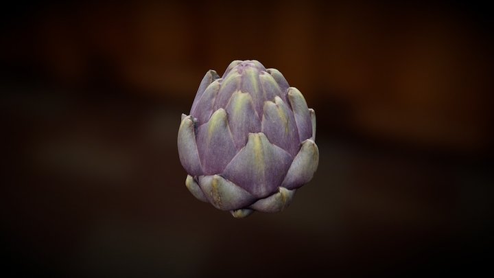 Artichoke 3D Model