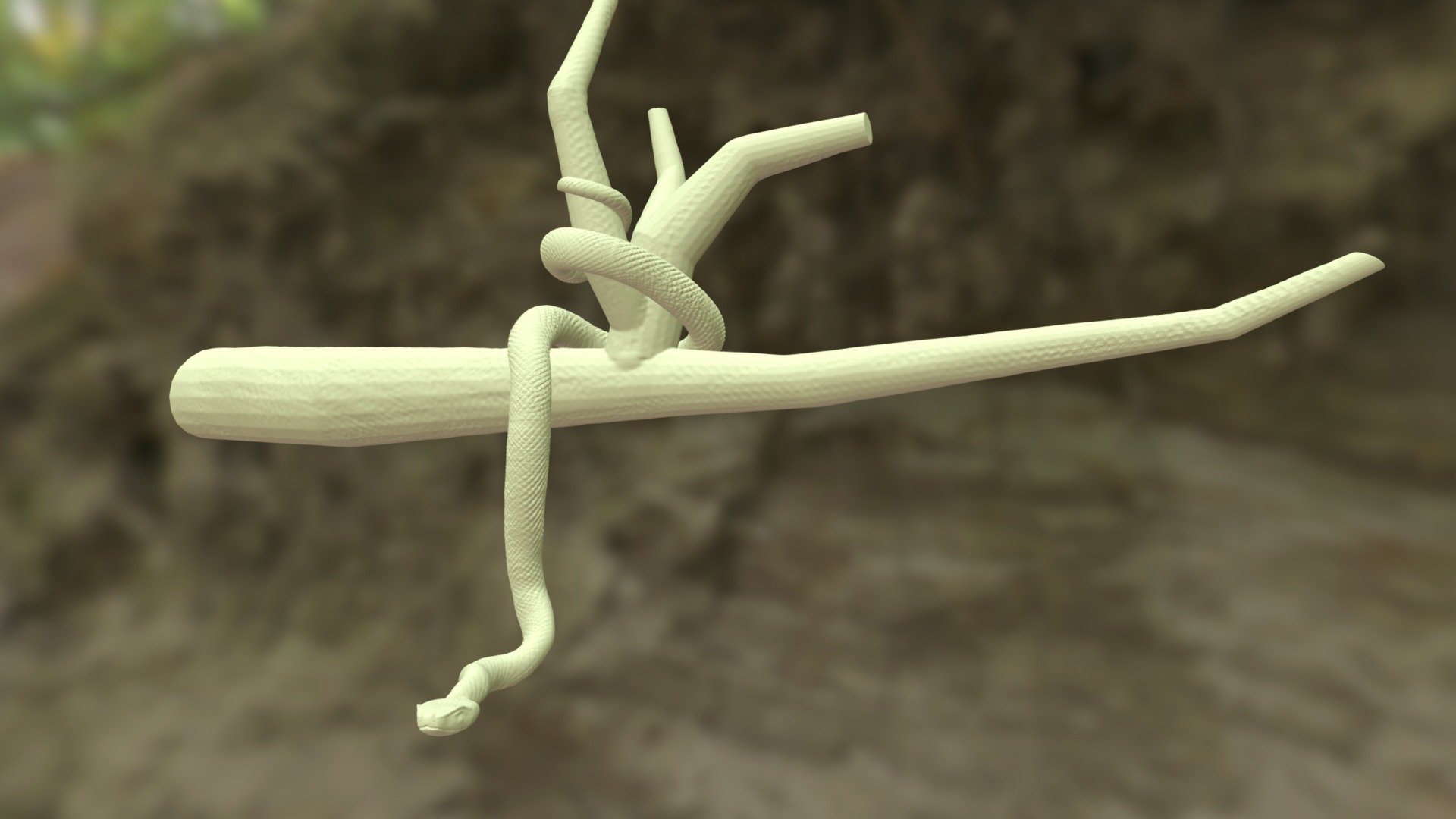Snake In a Tree