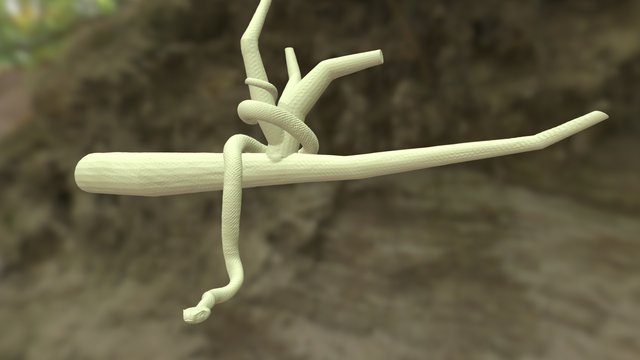 Snake In a Tree 3D Model