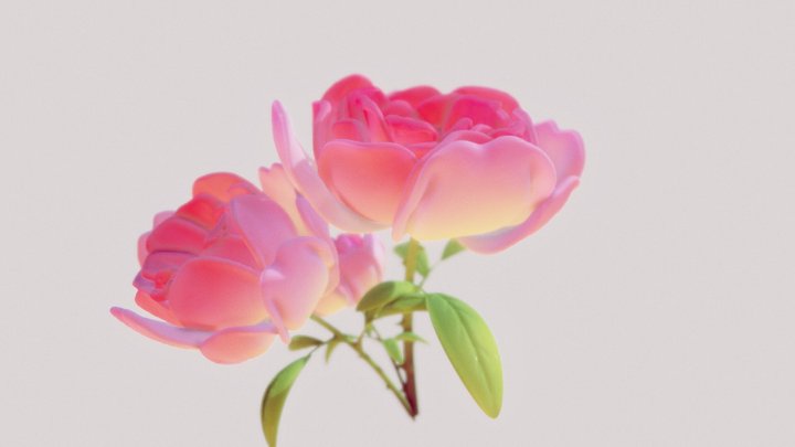 蔷薇花 3D Model
