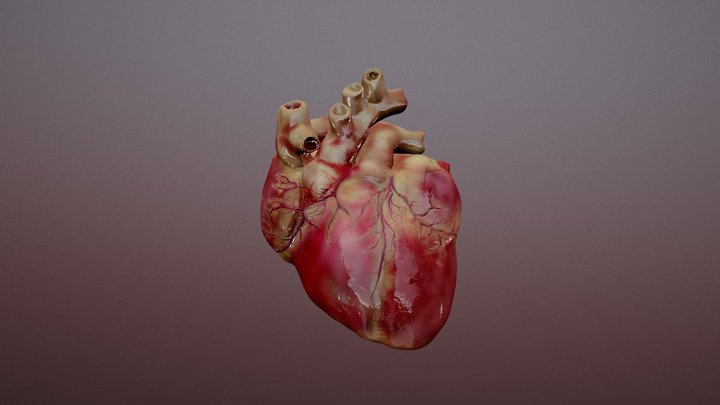 Roxette Reference 3D Model