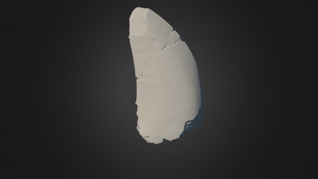dino 9