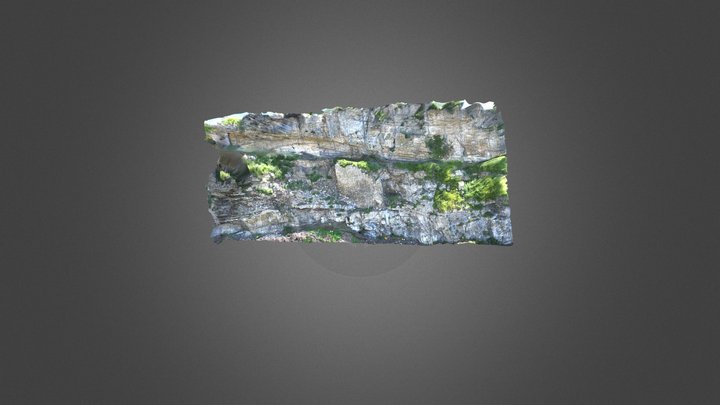 Muro 1 3D Model