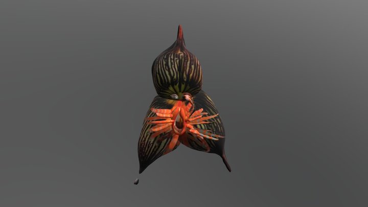 OrchidFace2 3D Model