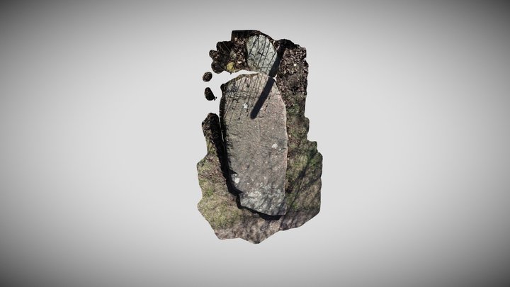 Suraż stela 3D Model