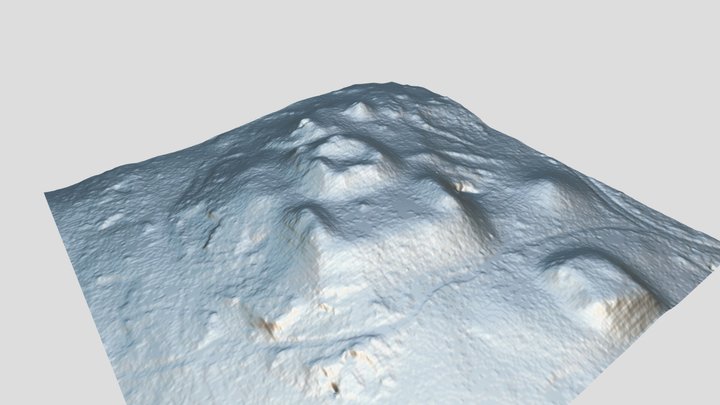 Group F - El Tiburon , Uaxactun (3D scan) 3D Model