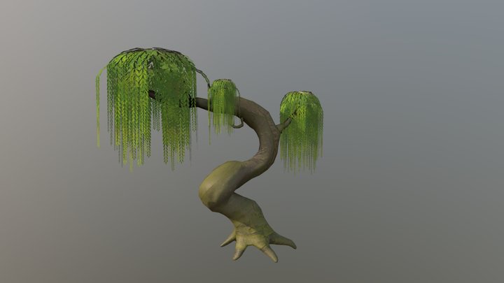 Willow Tree 3D Model