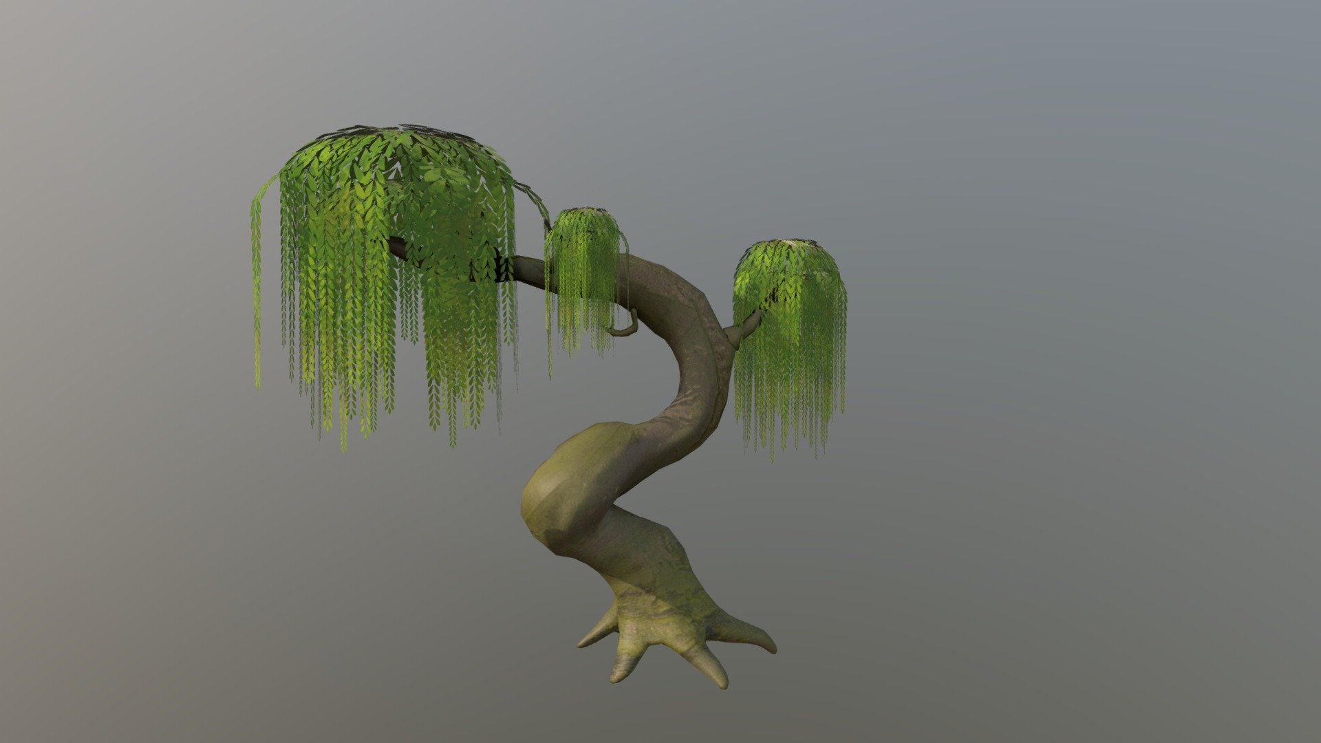 Willow Tree - Download Free 3D model by Evie
