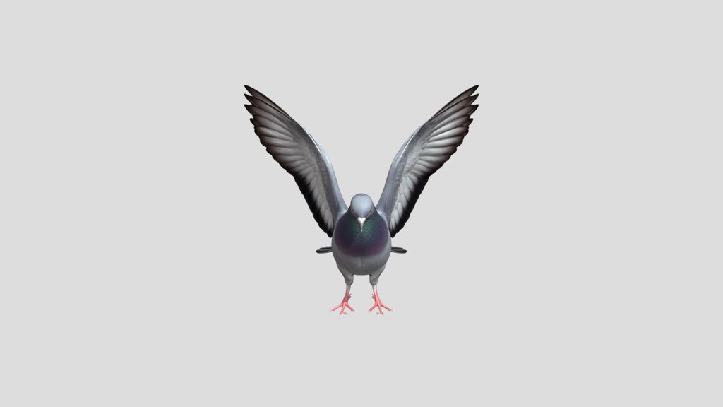 Pigeon, V1