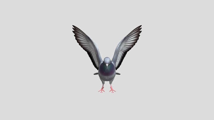 Pigeon, V1