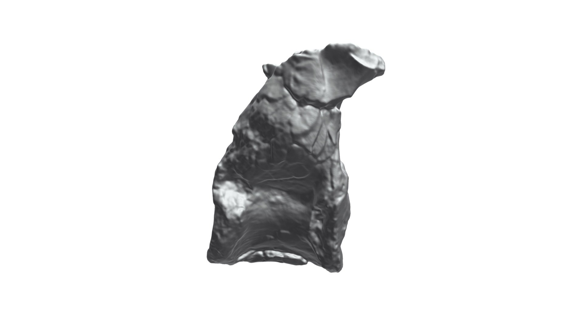 UMNHVP28350 Invictarx Mid Dorsal Vertebra 3 - Download Free 3D model by ...