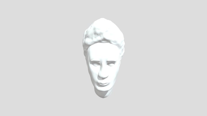 AVFX 2020 3D autoportret Pavela 3D Model