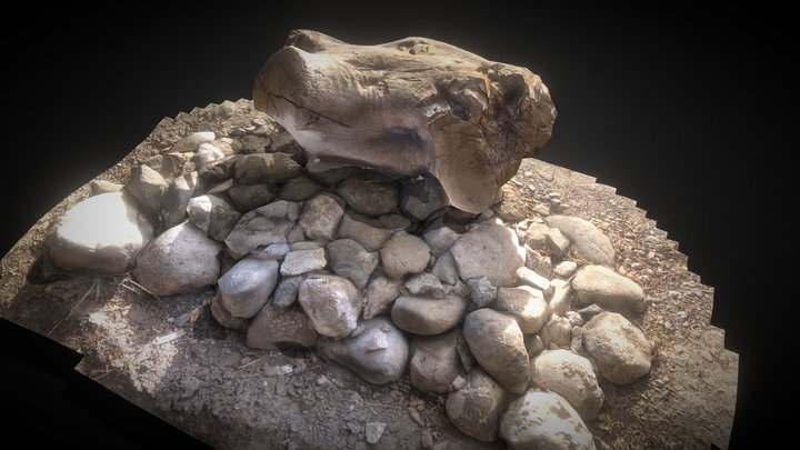 Scan Wood And Stone 3D (with Lowpoly Model) 3D Model