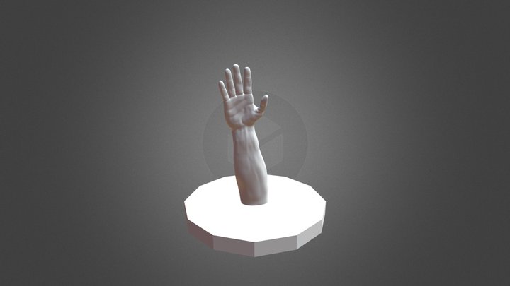 Hand [First attempt] 3D Model