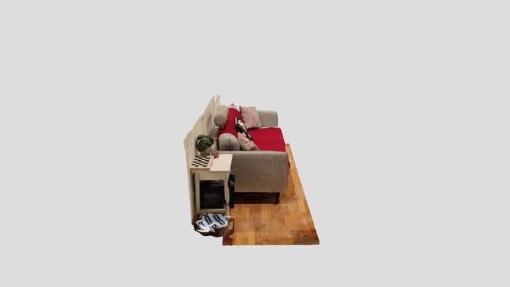 Living room sofa