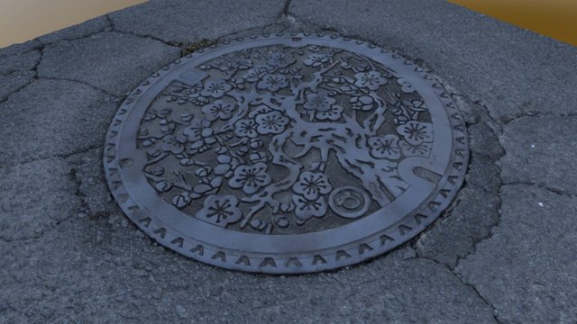Nagayo Manhole 3D（Nagasaki-Pref.） 3D Model