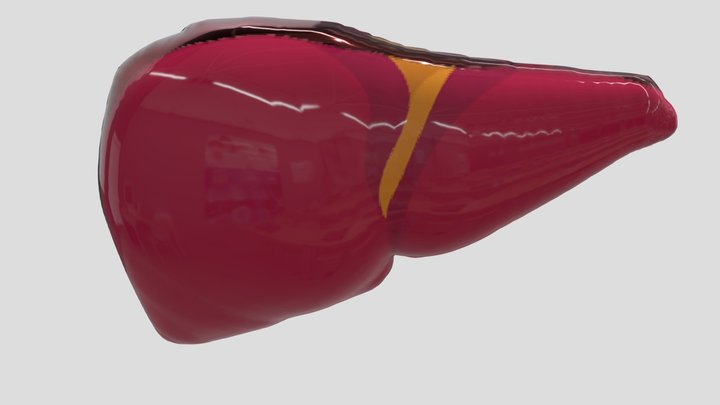 Hati Liver Glowing 3D Model