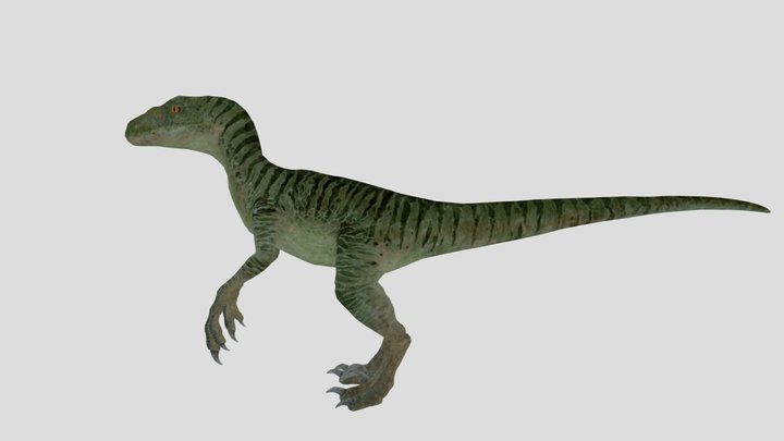 Charlie the Velociraptor – Modello 3D gratuito STL
