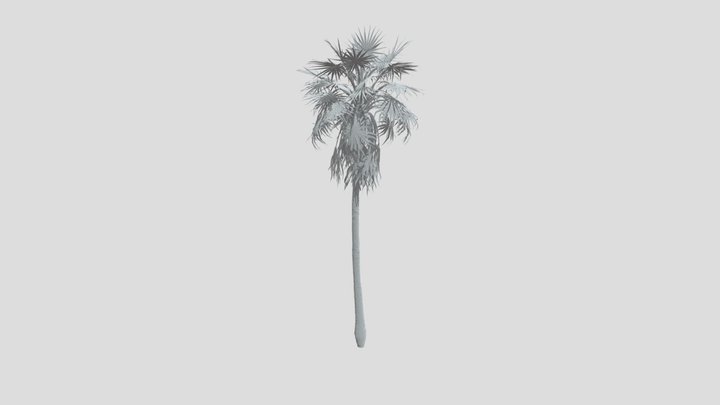 Caraday Palm Large Var – Gratis 3D-model STL