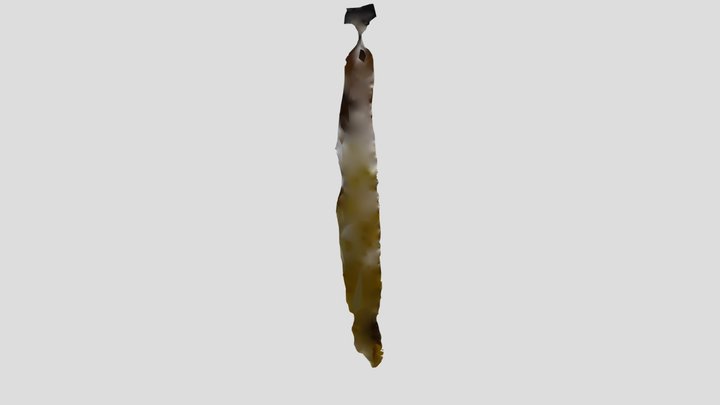 Seaweed City Kelp – Modello 3D gratuito STL