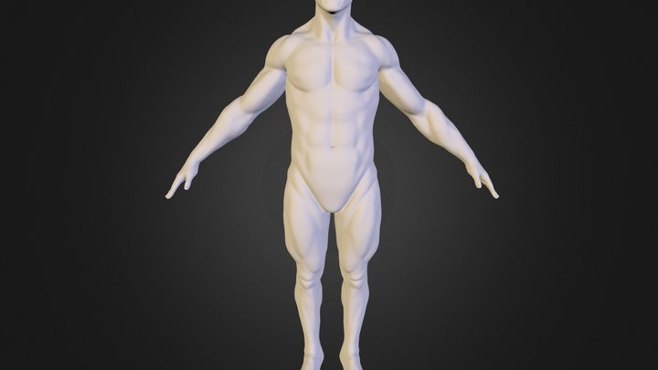 Muscles_Lesson04_SMooth_01 3D Model