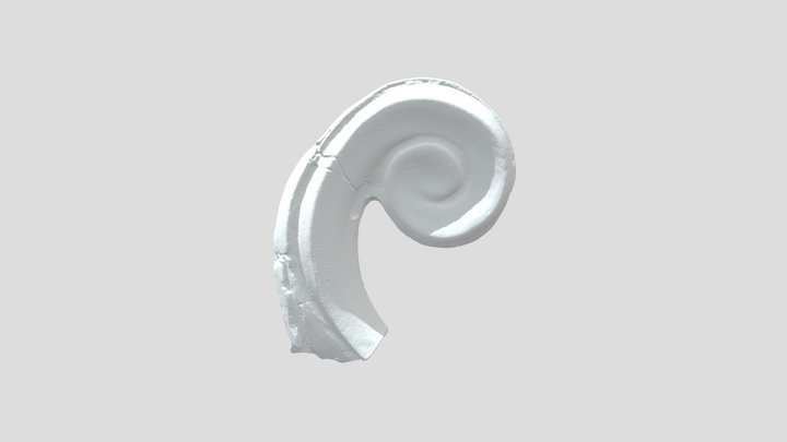 Scroll (from girandole mirror) 3D Model