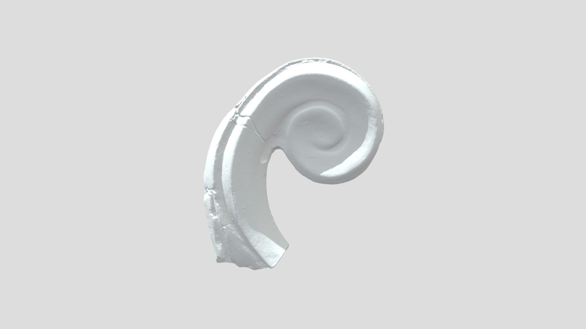 Scroll (from girandole mirror)