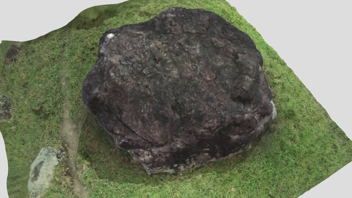 Petroglifo El Sapo 3D Model