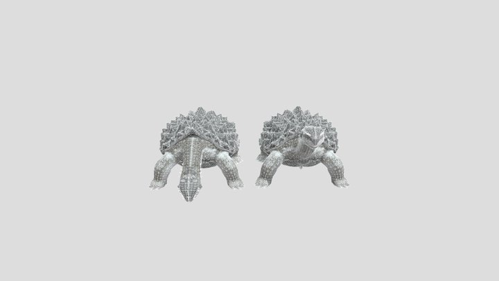 Carbonemys 3D Model