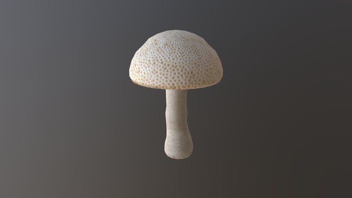 Shroom 3D Model