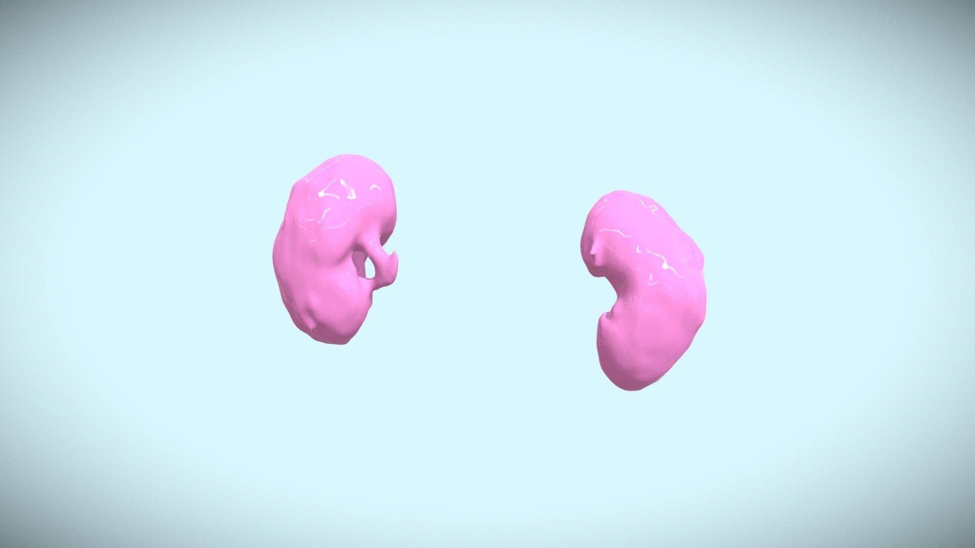 Kidneys