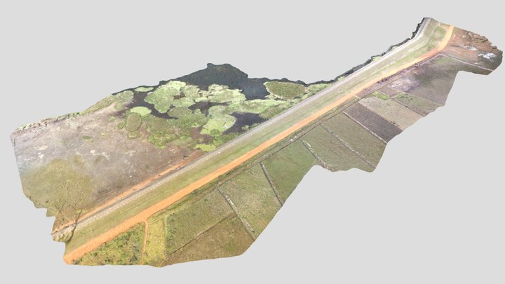taiacupeba-pix4d 3D Model