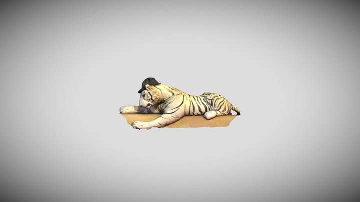 Stuffed Tiger scan 3D Model