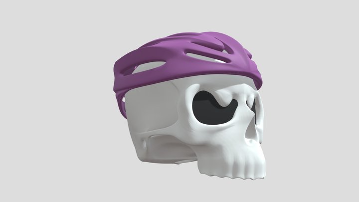 Skull Skeletons 3D Model