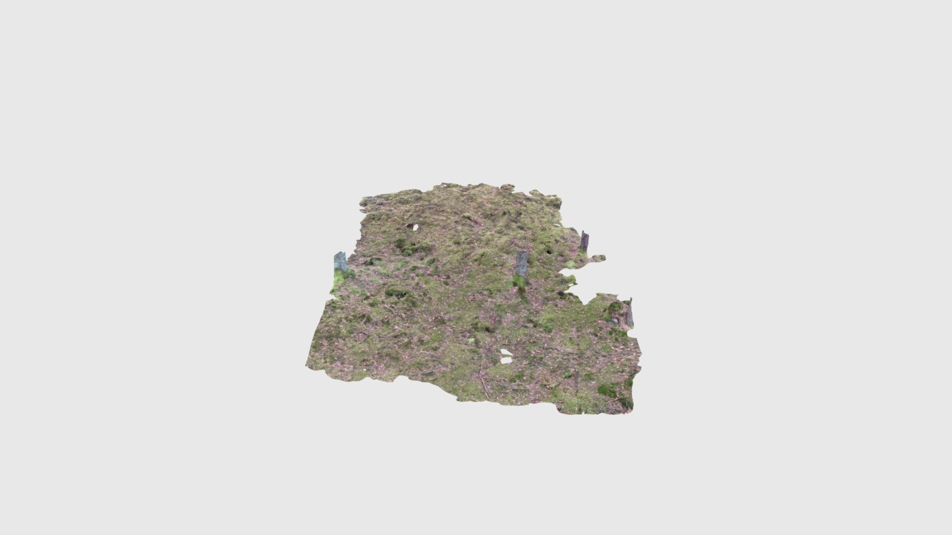 ForestfloorPatch04