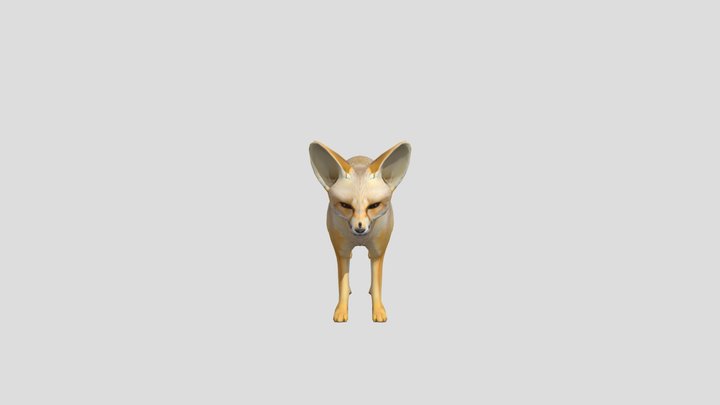 Bengal Fox