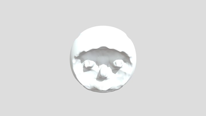 My model 3D Model