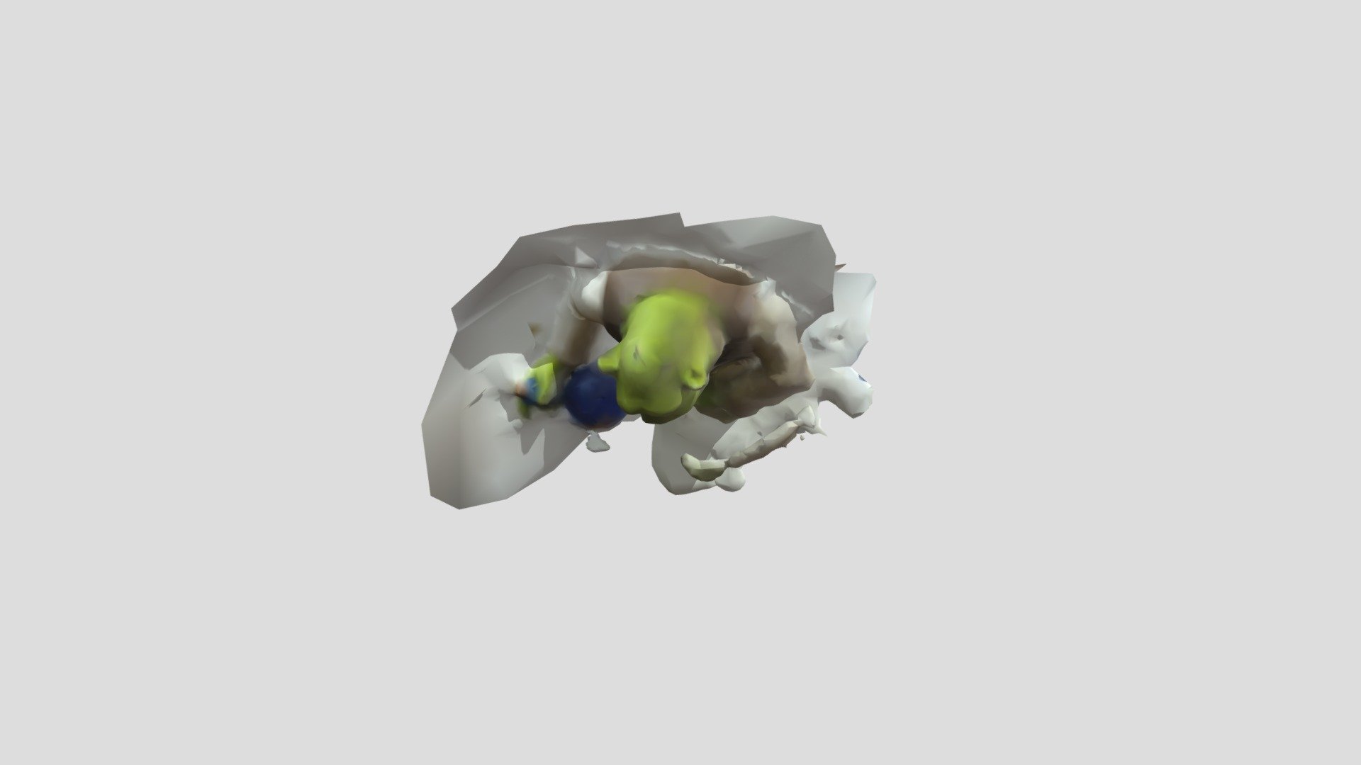 Shrek Fotogrammato - 3D model by bizzoo [d48fc7a] - Sketchfab