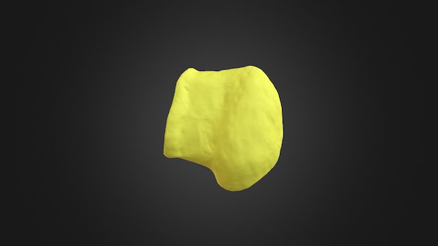 1310002 Left Accessory Carpal 3D Model
