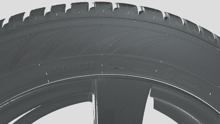 Tire Model 3D Model